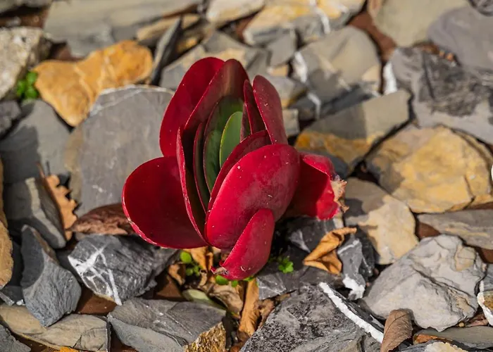 Appartement - 2 Vista Mare E Piscina *